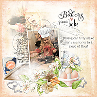 Bakers-Gonna-Bake.jpg