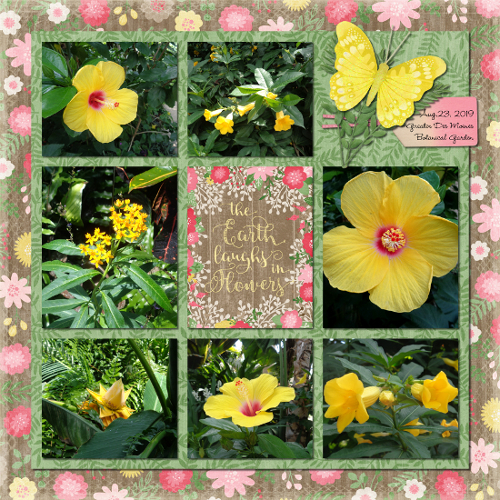 2019botanical_garden_yellow_web