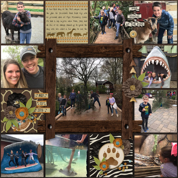 Wild Adventure at the Zoo