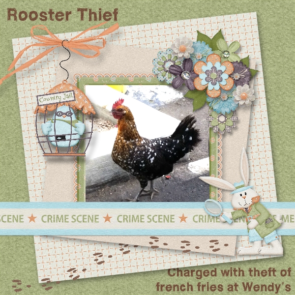 Rooster Thief