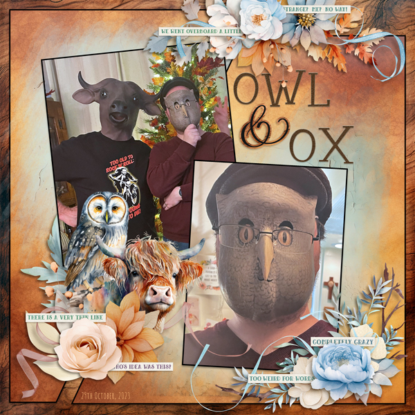 Owl and Ox