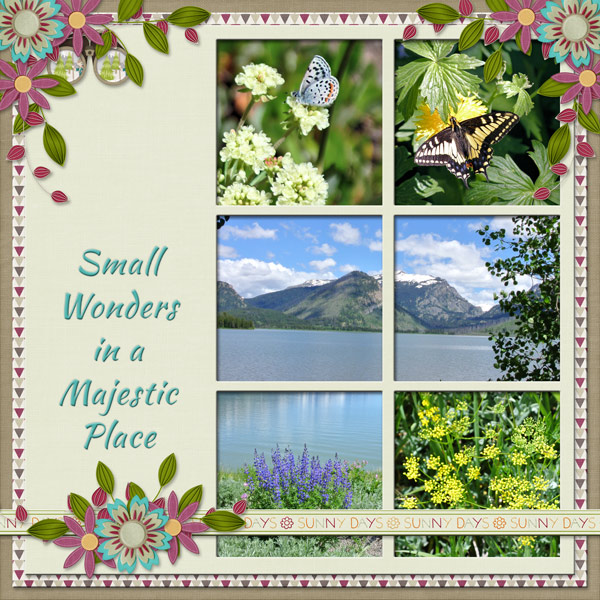 Small Wonders in a Majestic Place