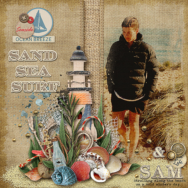 Sand Sea Surf and Sam