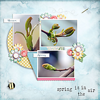 2020-April_Buffet_Spring-Is-In-The-Air.jpg