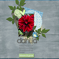 Bloom_Grow2.jpg