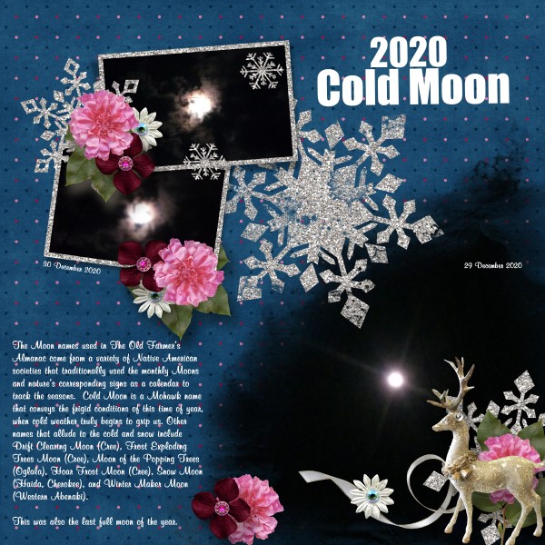 2020 Cold Moon