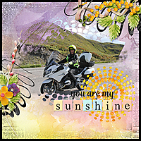You_are_my_sunshine3.jpg