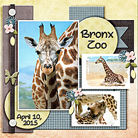 Bronx_Zoo_2015.jpg