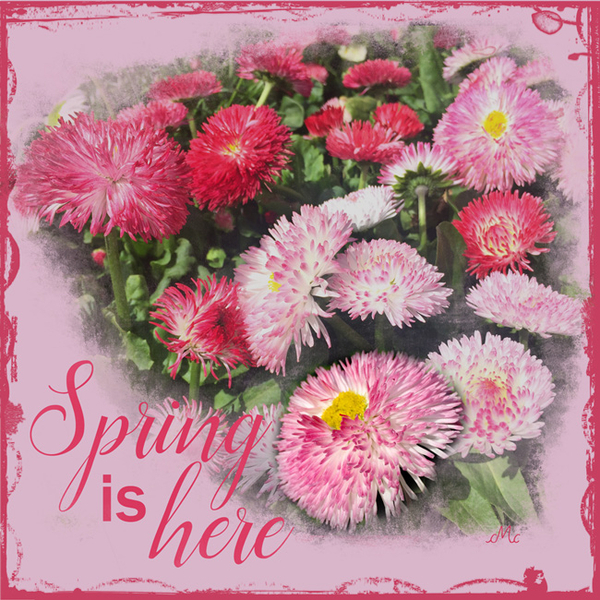 Word Art April: Spring is here!
