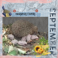 Hedgehog_Family.jpg