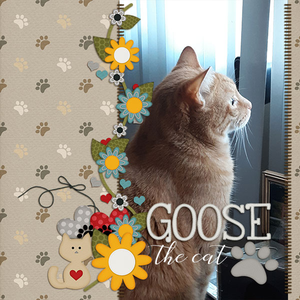 Goose the Cat
