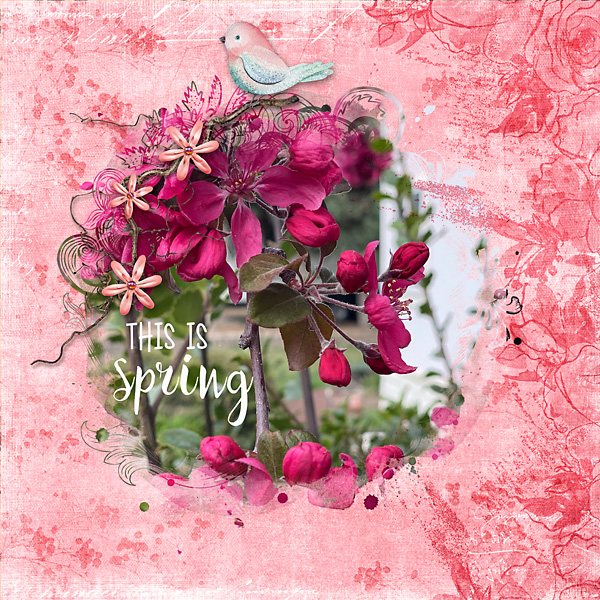 Spring-Flowers-copy2