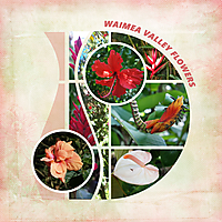 Waimea-Valley-Flowers.jpg