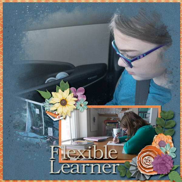Flexible Learner