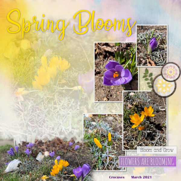 Week #2 Watercolor: Spring Blooms