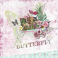 Butterfly_-_Rochelle1.jpg