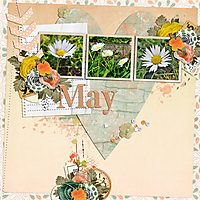 May-flowers12.jpg