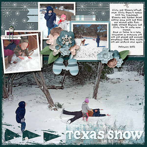 Texas Snow