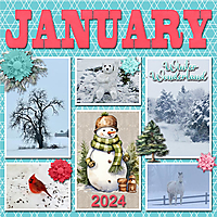 January_6_Months_of_Memories1-SCR.jpg