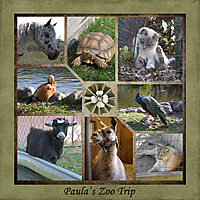 Paula_s-zoo-trip.jpg