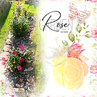 gs-brush-Rose-Garden.jpg