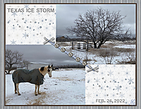 Icy-Texas-small.jpg