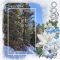Beauty-of-WInter---GS-Winter-Magic.jpg