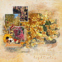 AutumnLightPlay-2GS-web.jpg