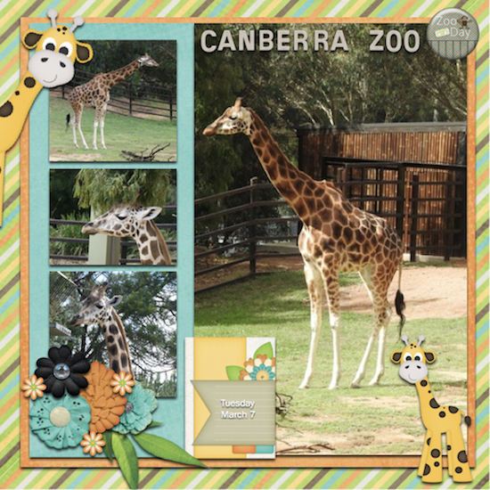 Canberra Zoo