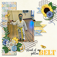 03_yellow_belt.jpg