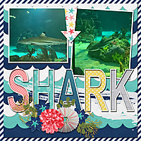 Shark-Sea-World.jpg