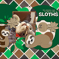 Sloths.jpg
