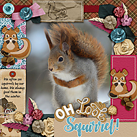 Oh-look-squirrel.jpg