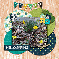 HelloSpring9.jpg