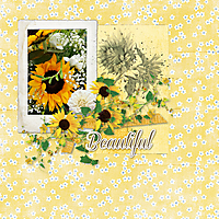 Beautiful_sunflowers.jpg