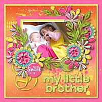 littlebrother2.jpg