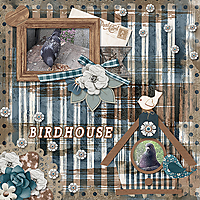 Birdhouse_ollitko600.jpg