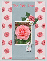 The-Pink-Rose.jpg