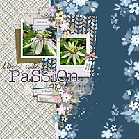 2023-02-11_BloomWithPassion.jpg
