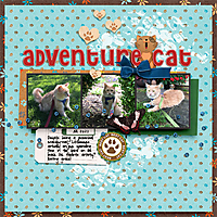 07-2023_Adventure_Cat.jpg