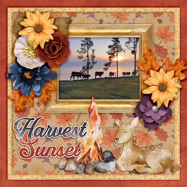 Harvest-sunset1