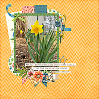 2024-03-06-march-daffodils-WEB.jpg