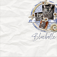 bluebelle-kittie.jpg