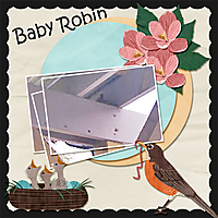 03_Baby_Robin_-_Template_1_edited-1.jpg