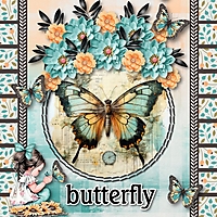 butterfly31.jpg