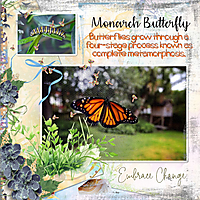 Monarch_Butterfly.jpg