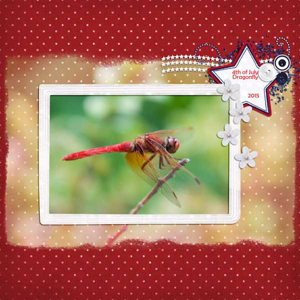 4th of July Dragonfly