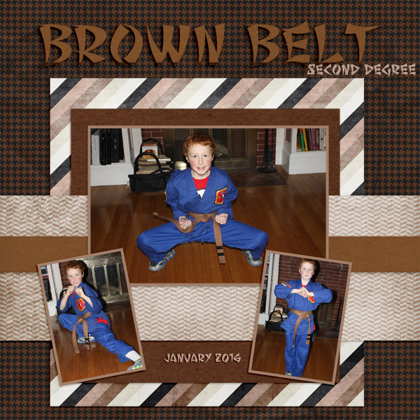 2016 AJ Brown Belt