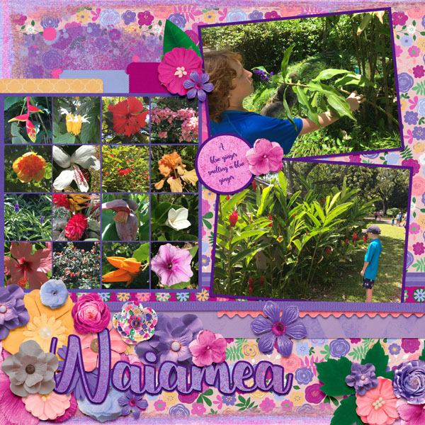 2017 Waiamea Flowers