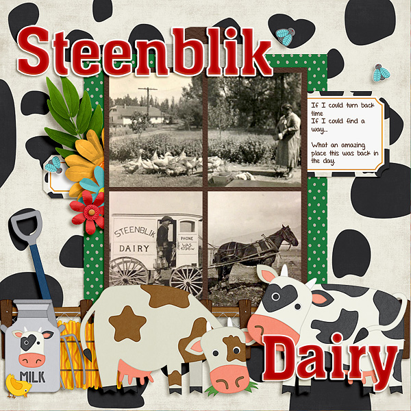 Steenblik Dairy